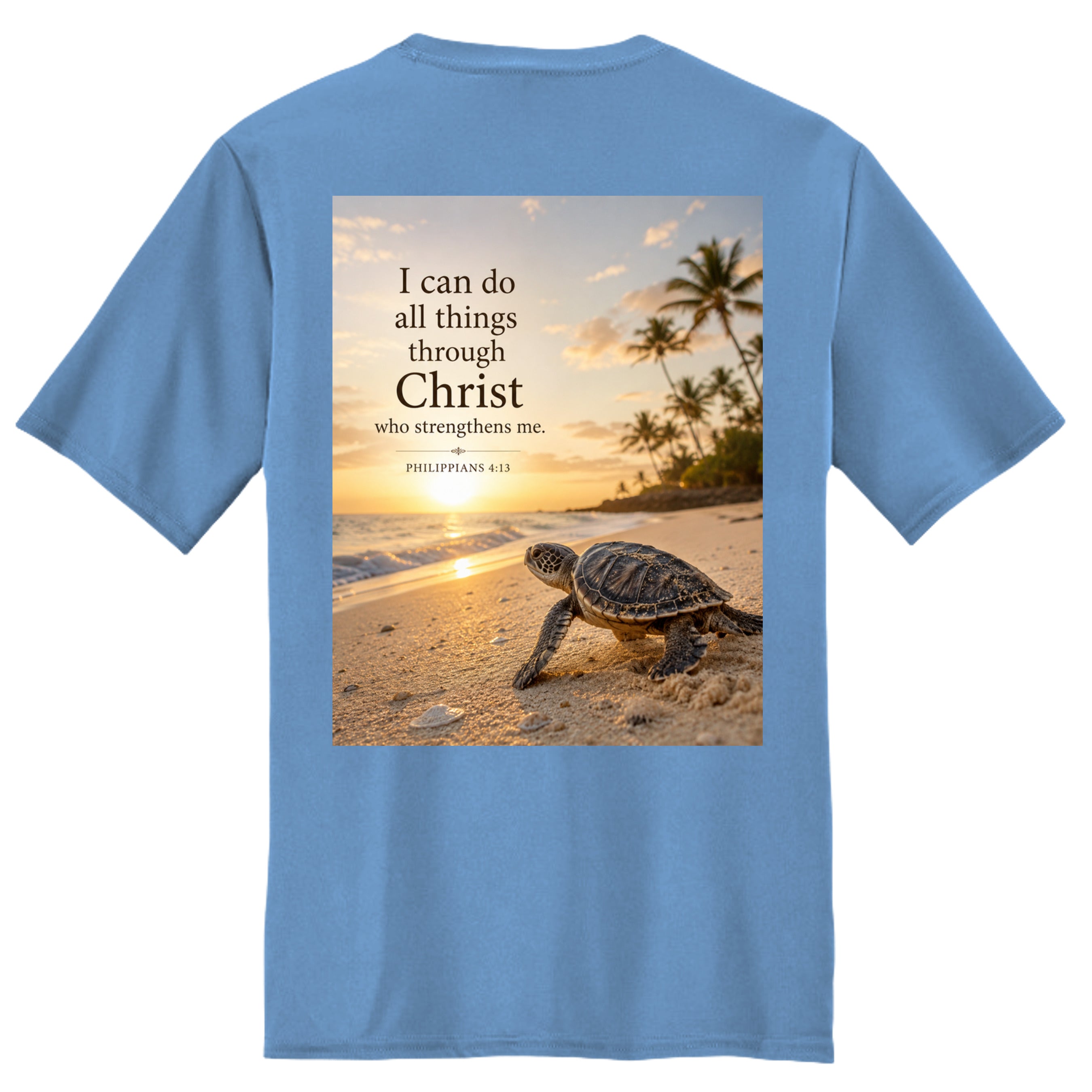 Carolina Blue - PC380 - BACK